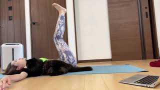 ヨガ中に絡んでくるぶたくん