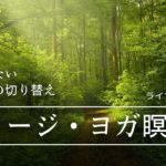 【ライブ配信】「気にしない」「気持ちの切り替え」イメージ・ヨガ瞑想