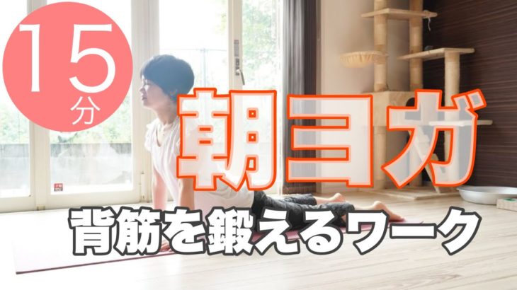 朝のオンラインヨガ 背筋を鍛えるワーク 誹謗中傷どうする？