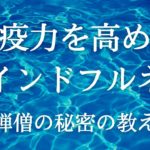 【メンタルヘルスと自律神経】免疫力を高めるマインドフルネス瞑想の決定版！ヒーリング誘導瞑想 軟酥の法と内観のガイド付き瞑想 白隠禅師の秘密の健康法