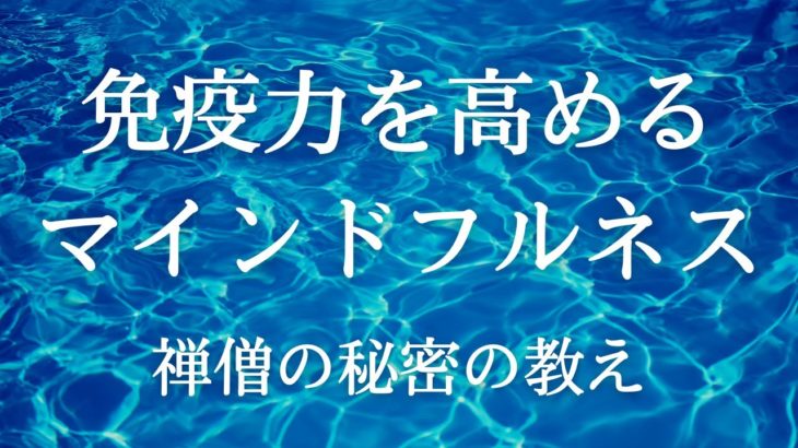 【メンタルヘルスと自律神経】免疫力を高めるマインドフルネス瞑想の決定版！ヒーリング誘導瞑想 軟酥の法と内観のガイド付き瞑想 白隠禅師の秘密の健康法