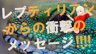 【衝撃】全てが道を失っているわけではありません！！銀河系司令部恒星間宇宙艦隊からのメッセージがヤバすぎる！！【スピリチュアル】
