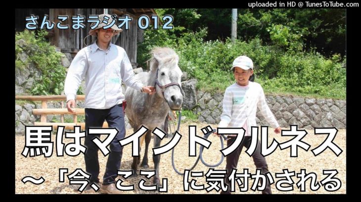 馬はマインドフルネス〜「今、ここ」に気付かされる【さんこまラジオ012】