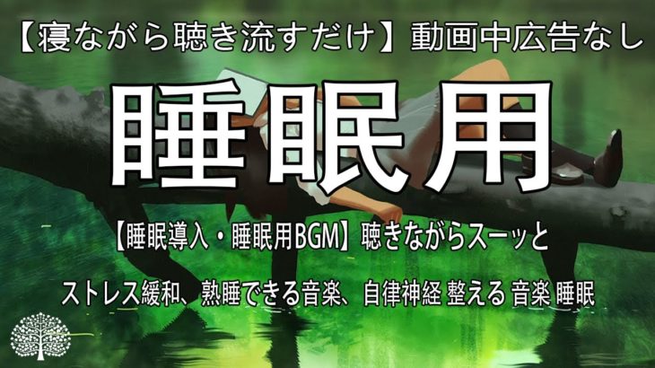 【寝ながら聴き流すだけ】100%動画中広告なし【睡眠導入・睡眠用BGM】聴きながらスーッと、ストレス緩和、熟睡できる音楽、自律神経 整える 音楽 睡眠