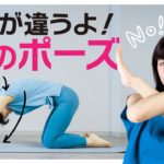 【ヨガ解説】ヨガあるある❗️猫のポーズ間違えやすいポイント解説！〇〇に悪いよ！3点改善し効果アップ⤴️