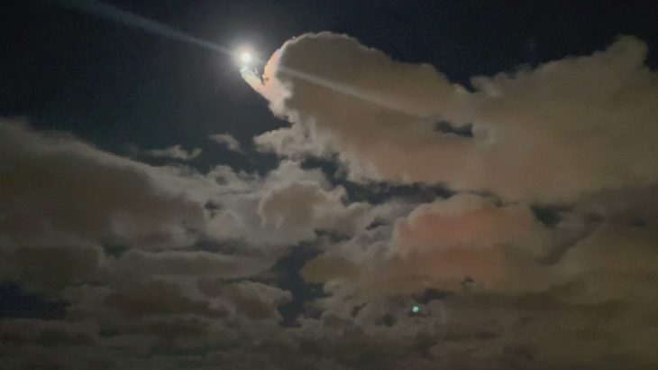 【睡眠用BGM│自然音│集中力UP】癒し　自然　秋の音　コオロギ　鈴虫