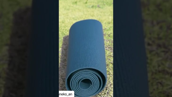 ヨガトレーナーRIHOKO #shorts