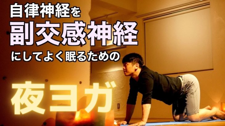 副交感神経優位になりよく眠るための夜ヨガ【寝落ち注意】自律神経が整う。