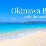 【沖縄のビーチ 4K映像】癒しの波音（睡眠・読書・勉強・作業用）Relaxing Beach Video