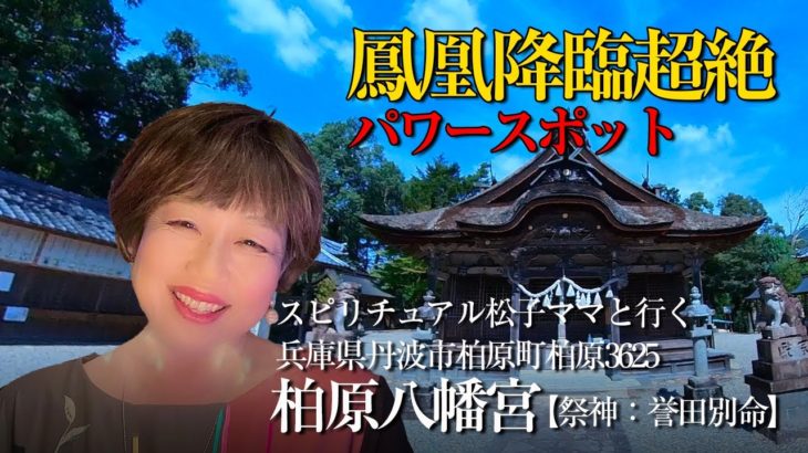 スピリチュアルな松子ママと行くパワースポット【柏原八幡宮】FHD書き出しver