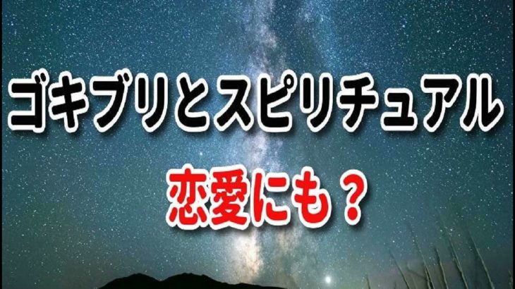 ゴキブリとスピリチュアル、恋愛。外で見るスピリチュアルな意味とスピリチュアルメッセージ。よく見る（外でゴキブリ）三鷹のスピリチュアル、ゴキブリスピリチュアル