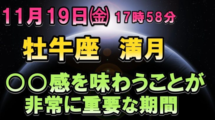 11月19日㈮ 牡牛座の満月からのメッセージ ○○感を味わうことが非常に重要な期間 【スピリチュアル・宇宙の法則・現実創造】