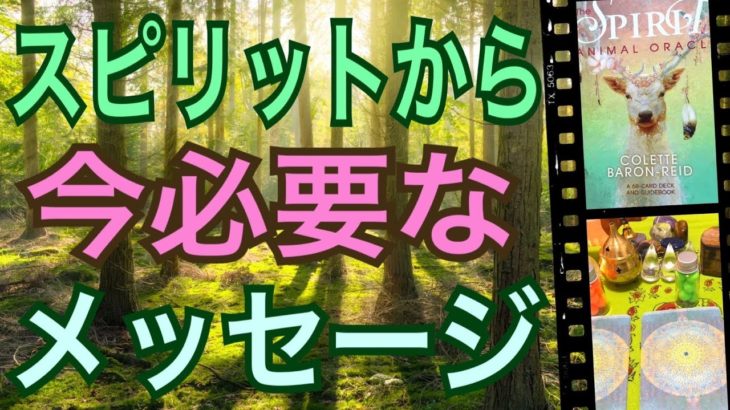 【直感】スピリチュアルから今、必要なメッセージ‼️怖いほど当たる✨オラクルカードリーディング✨スピリチュアルカードリーディング✨占い✨３択✨ハルヒーリング✨