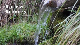 【ASMR 睡眠用 環境音】田舎の風景　土管から流れる癒しの水音