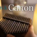 【究極の癒し】カリンバで奏でる眠れるカノン / 睡眠BGM / 1時間作業用