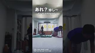 【家ヨガあるある】ヨガガンガー #shorts
