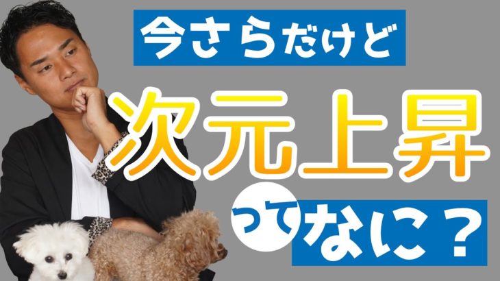 【スピリチュアル】次元上昇を徹底解説しました！【野呂田直樹】
