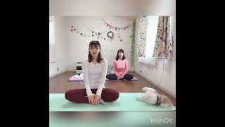 ヨガのウォーミングアップ