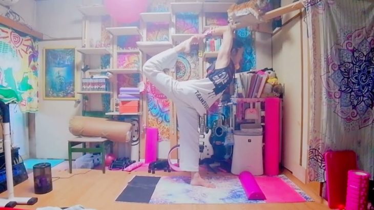 【ヨガ】ビールマン　ナタラジャーサナ