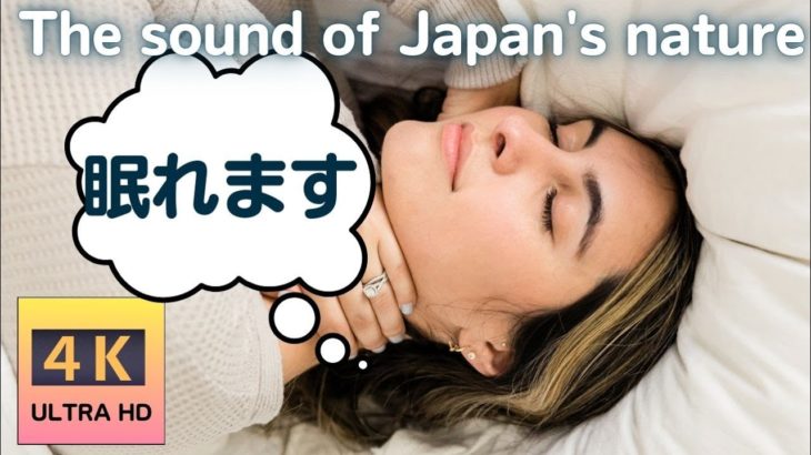 眠れる睡眠用BGM×癒しの自然音×羽豆岬 ASMR 【4K・高音質】