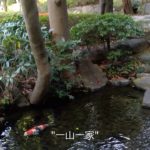 Mindfulness Chazen by Shirokane Yenyu Kai  白金円融会・マインドフルネス茶禅①