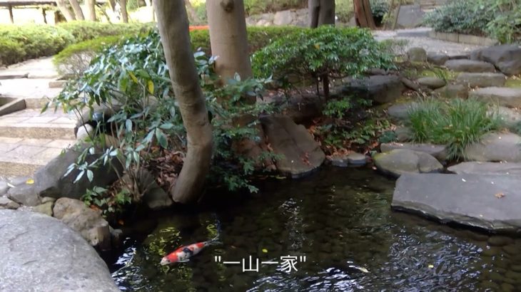 Mindfulness Chazen by Shirokane Yenyu Kai  白金円融会・マインドフルネス茶禅①