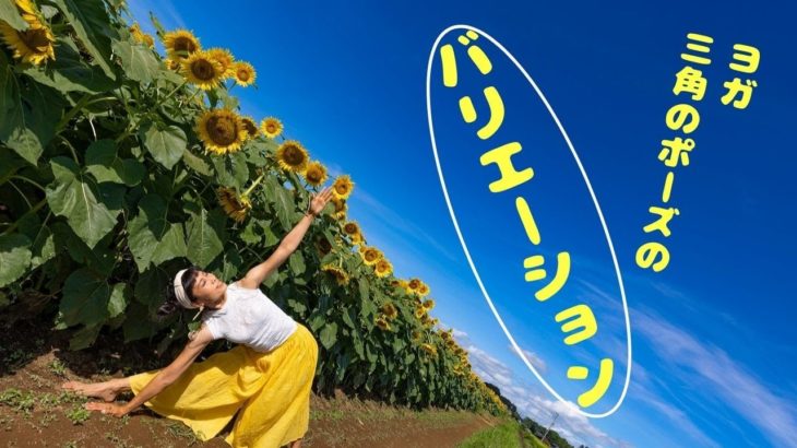 【体幹ストレッチ】ヨガ・三角のポーズのバリエーション