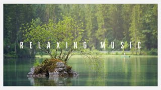 川のせせらぎ　癒しのリラックスミュージック。睡眠　運動　瞑想