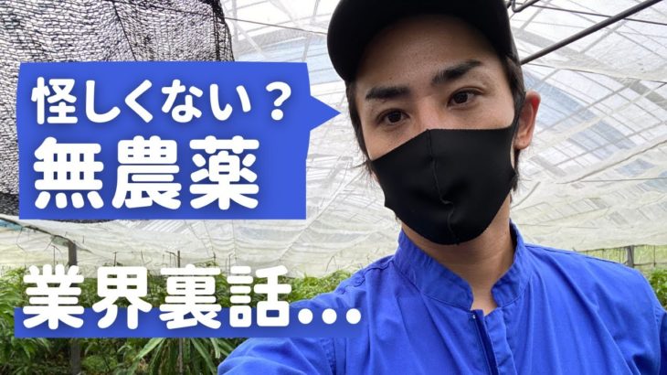 【家庭菜園】無農薬自然栽培はスピリチュアルや宗教だ！と言われる３つの闇