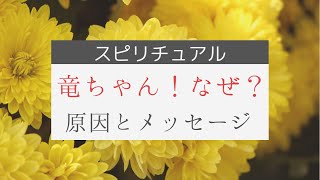 【スピリチュアル】上島竜兵さん命を落とした原因！知るべき真実