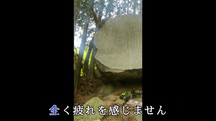 六甲比命神社へ行ってきました#スピリチュアル #神秘 #六甲山 #瀬織津姫