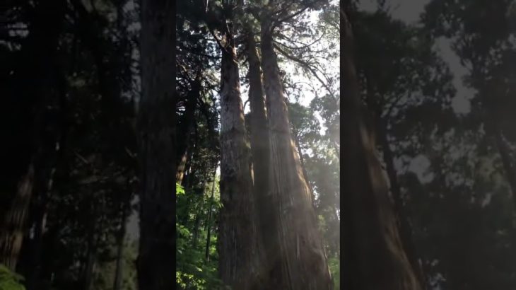 神様降臨💓オーラが写った❤️#御岩神社✨スピリチュアル #パワースポット🔮