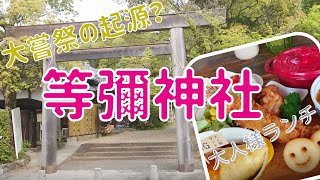【奈良vlog】等彌（とみ）神社/スピリチュアル/桜井町/大人様ランチ