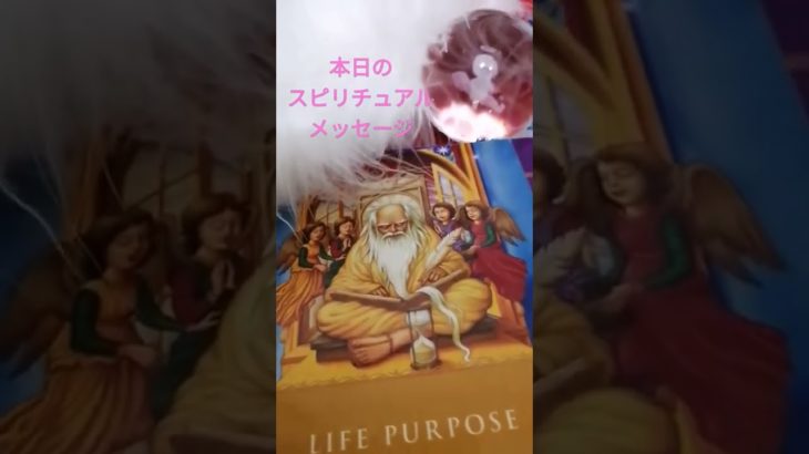 エンジェルこまのスピリチュアルカードメッセージ＃shorts