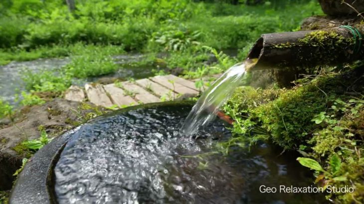 自然の音/癒しの音 ASMR せせらぎ 水の音 睡眠･リラックス･勉強・作業用 Japan
