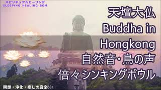 スピリチュアルパワーポットSpiritual power spot天壇大仏Buddha in Hongkong瞑想/浄化/癒しの音楽/自然音/鳥の声倍々シンキングボウルHealing music
