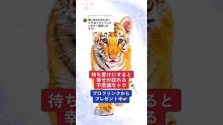 あなたの願いはなんですか？開運スピリチュアル金運復縁 | 開運 – Lucky Japan