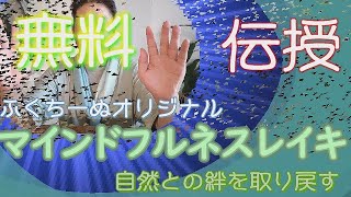 【無料伝授】自然マインドフルネスレイキ