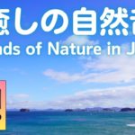 【睡眠用BGM・海の音】波の音 癒しの自然音 リラックス ミュージック    安眠音楽   4K 高音質 睡眠用bgm    眠れる音   ヒーリングミュージック 睡眠導入音楽【羽豆岬より】