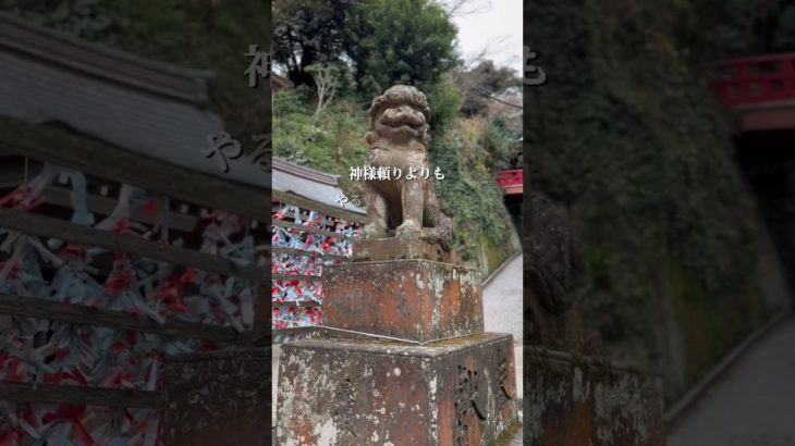 スピリチュアルの依存は危険！地に足をつけよ！#言霊 #shorts