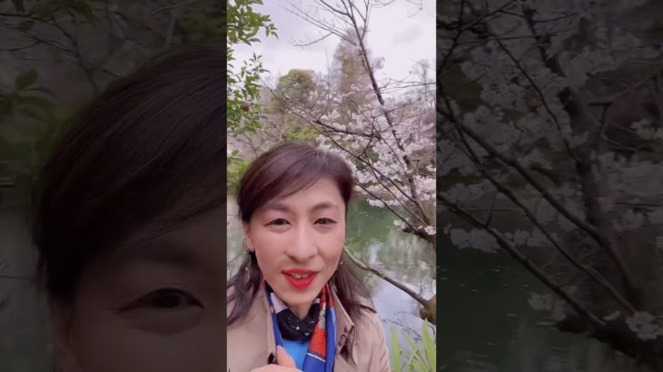 【開運❗️】宇宙元旦の春分の日のお詣り✨#切り抜き#スピリチュアル