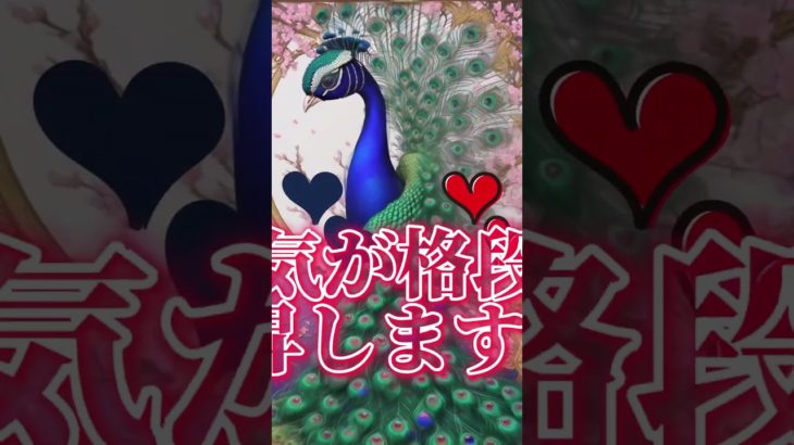 幸運を呼ぶ孔雀 運気上昇 #ヒーリング #占い #恋愛運 #運気 #スピリチュアル #金運 #shorts