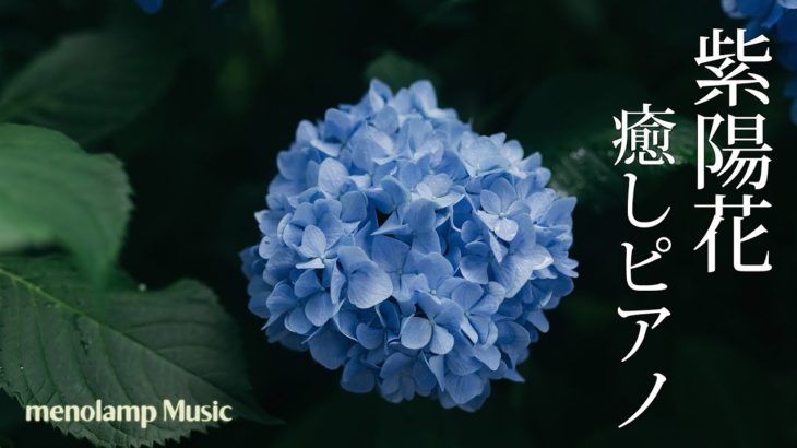 紫陽花と梅雨のBGM【ピアノ癒し曲】静かな瞑想ヨガ音楽 #18