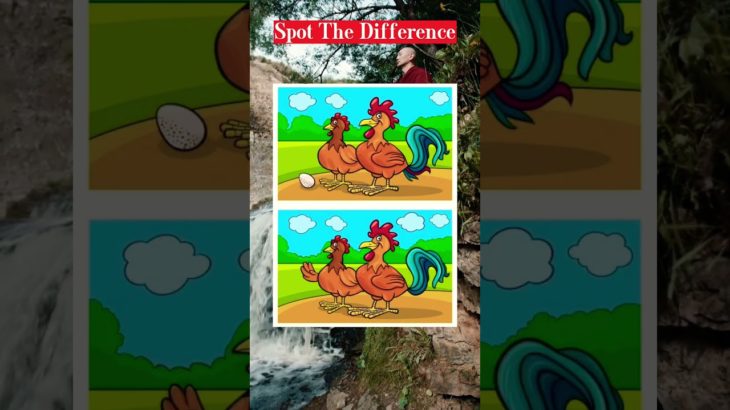 Health & Well-being – Spot the Difference