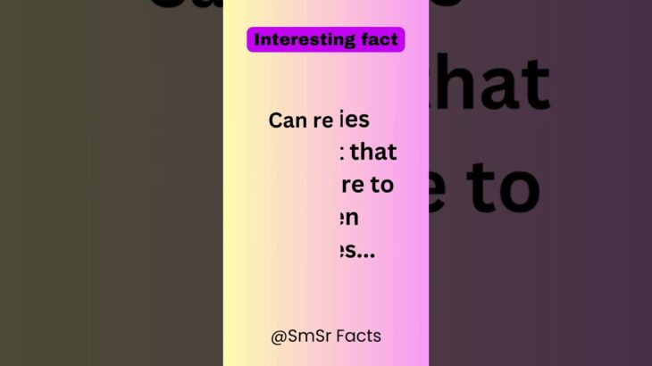 Unlocking the Happiness Set Point: Understanding the Baseline of Well-being#shorts