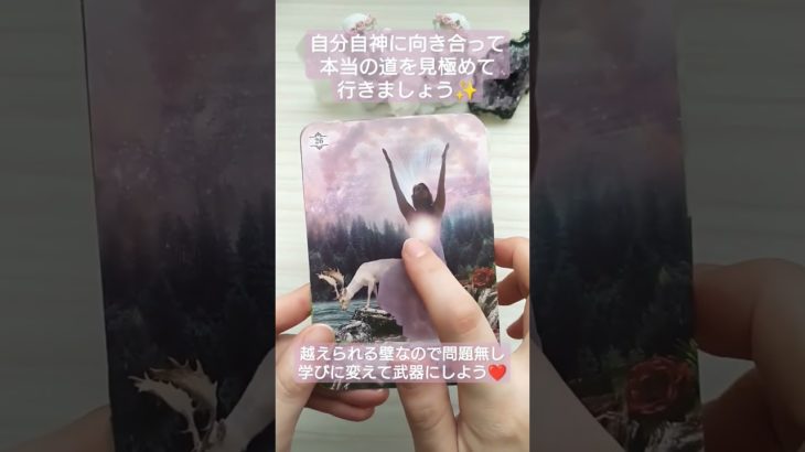 👀見た時がタイミング👀♯アファメーション ♯スピリチュアル ♯オラクル ♯タロット
