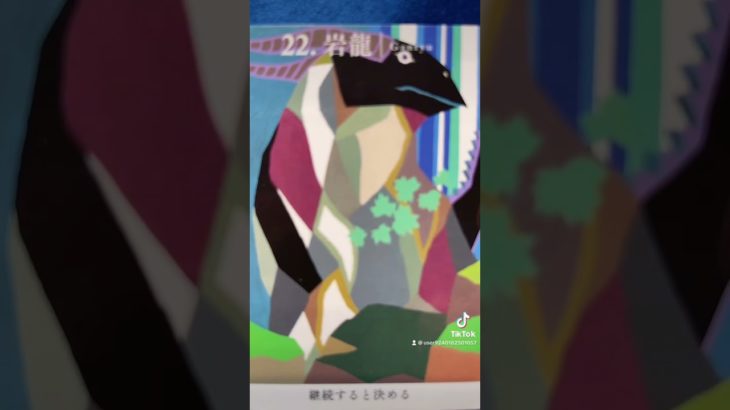 #龍神様メッセージ #見た時がタイミング #スピリチュアル #オラクルカード #リーディング