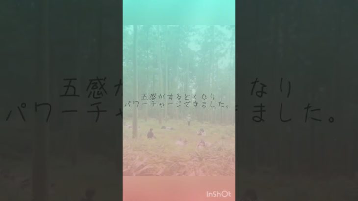 森のマインドフルネスリトリート2023　近日申込開始