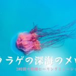 クラゲの深海のメロディ：静かな海を泳ぐ、癒しの音楽の響き🍀 3時間の熟睡ヒーリングミュージック | 深海の音声 | 深い眠りのためのリラックスするピアノ音楽 | 睡眠の質を向上させる | 睡眠音楽