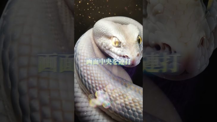 LINEともだち追加はコメント欄から⛩✨  #スピリチュアル #金運 #開運